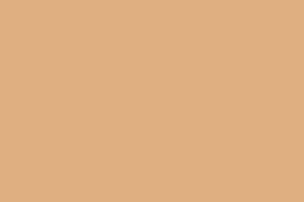 Orange Leather