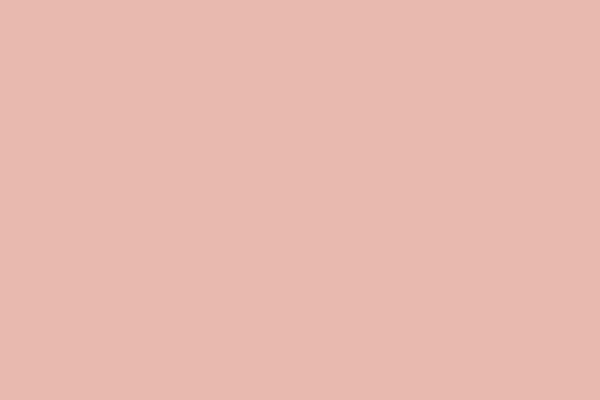Pink Leather